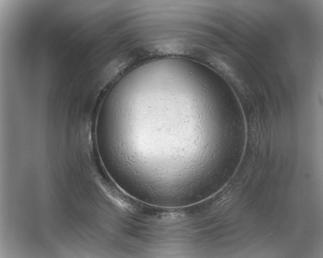 X0000068750398200604281211