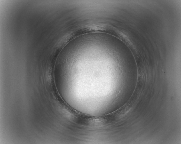 X0000068750402200604281211