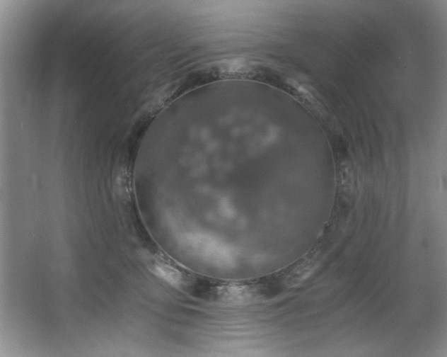 X0000068750419200604281210