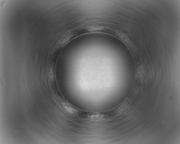 X0000068750426200604281210