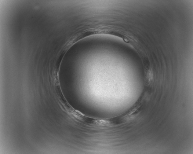X0000068750429200604281210