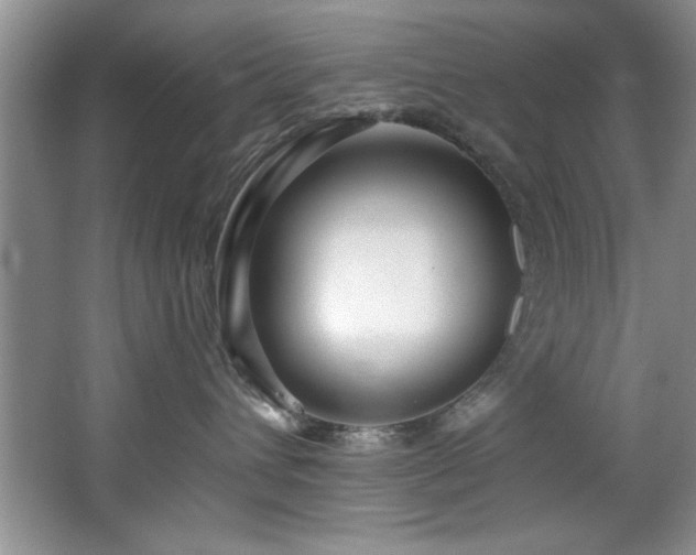 X0000068750432200604281210