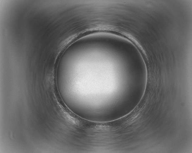X0000068750437200604281209
