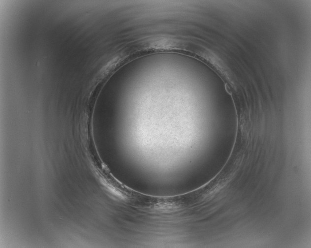 X0000068750445200604281210