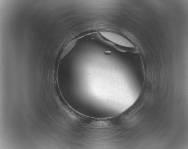 X0000068750449200604281210
