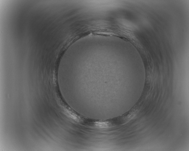 X0000068750457200604281210