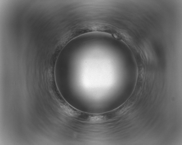 X0000068750461200604281210