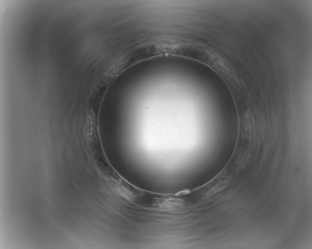 X0000068750463200604281210