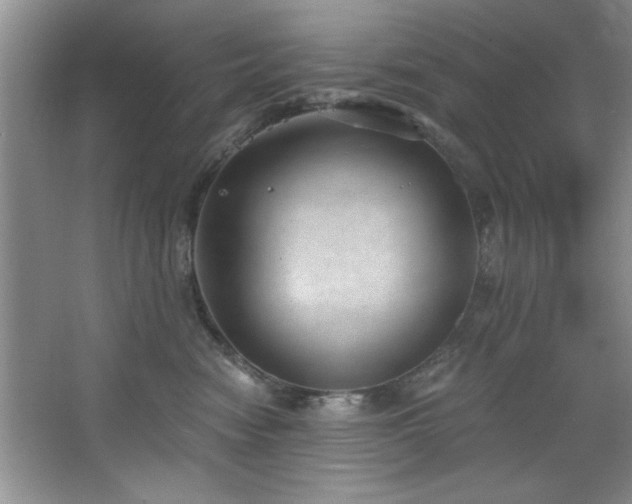 X0000068750474200604281210