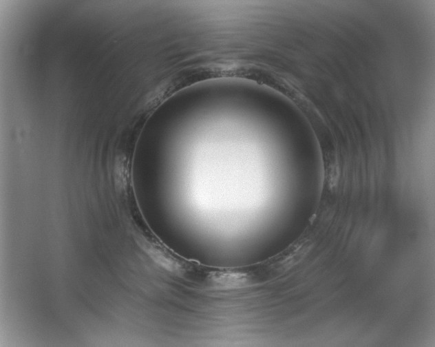 X0000068750476200604281210