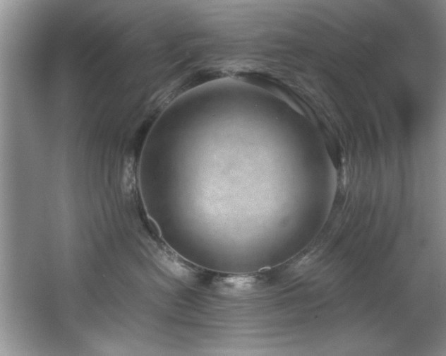 X0000068750478200604281210
