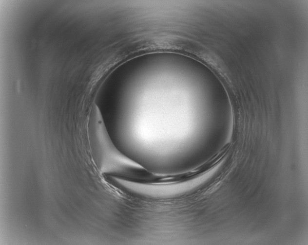 X0000068750481200604281209
