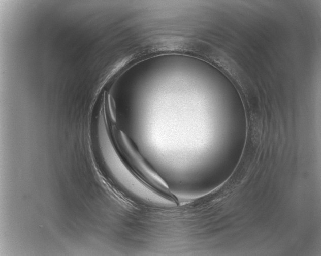 X0000068750482200604281209