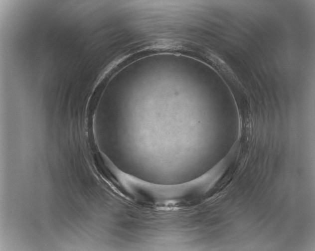 X0000068750484200604281209
