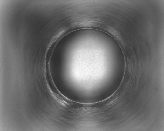 X0000068750486200604281209