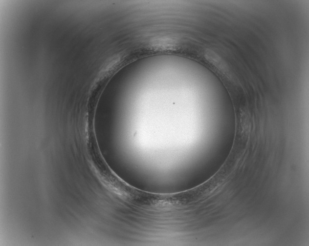 X0000068750494200604281209