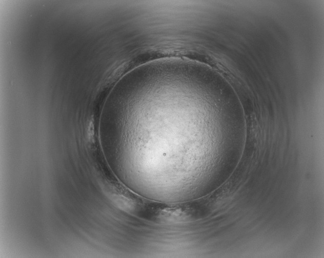 X0000068750502200604281209