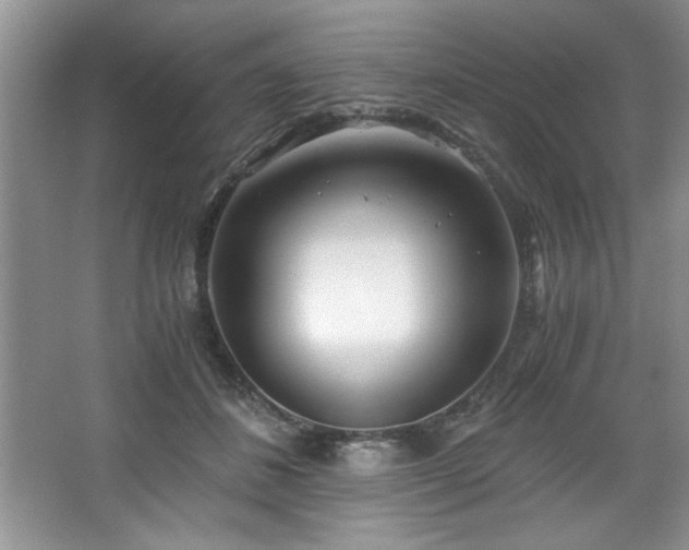 X0000068750508200604281209