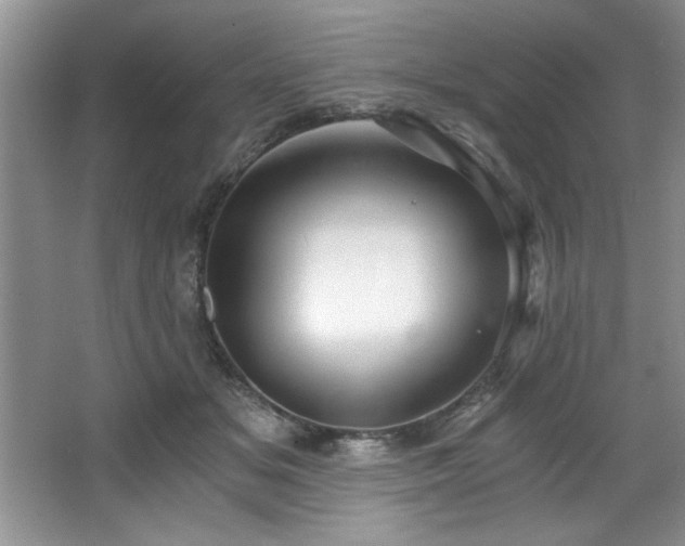 X0000068750509200604281209