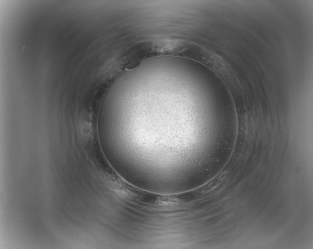 X0000068750510200604281209