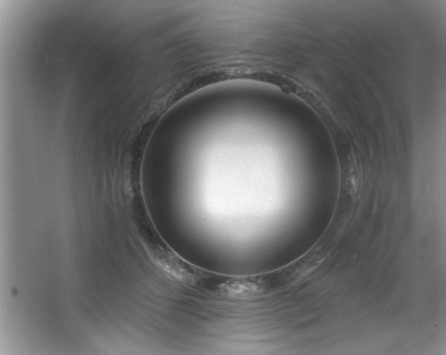 X0000068750512200604281209