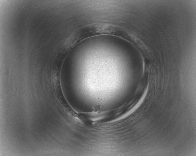 X0000068750513200604281209