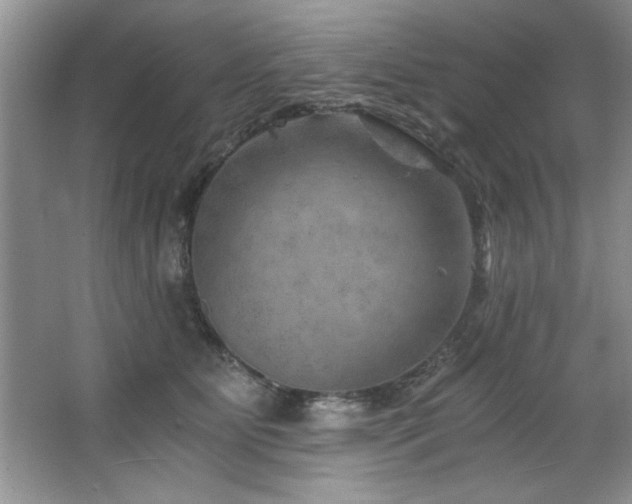 X0000068750515200604281209