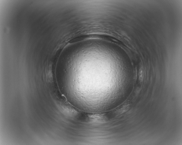 X0000068750516200604281209