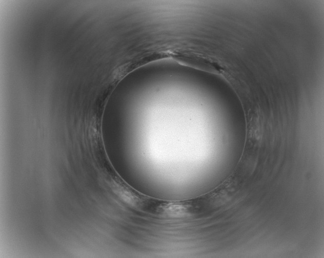 X0000068750518200604281209