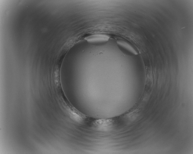 X0000068750526200604281209