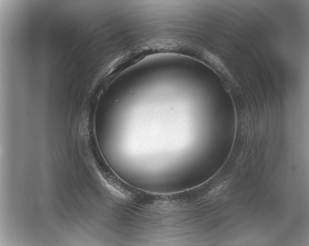 X0000068750538200604281208