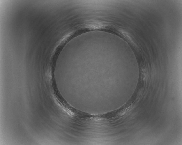 X0000068750539200604281208