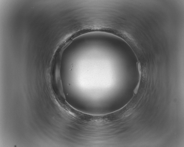 X0000068750540200604281208