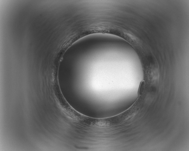 X0000068750546200604281208
