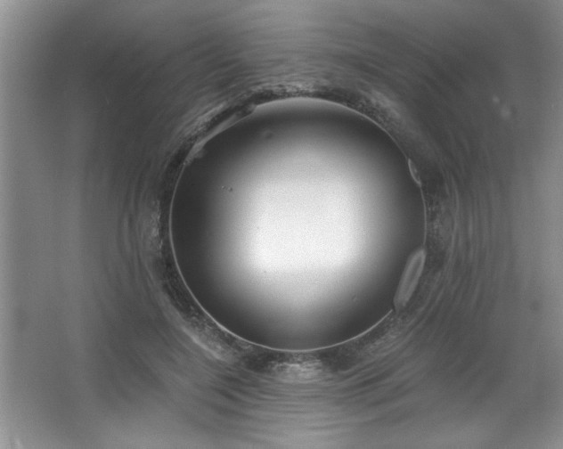 X0000068750548200604281208