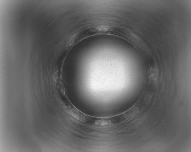 X0000068750559200604281208