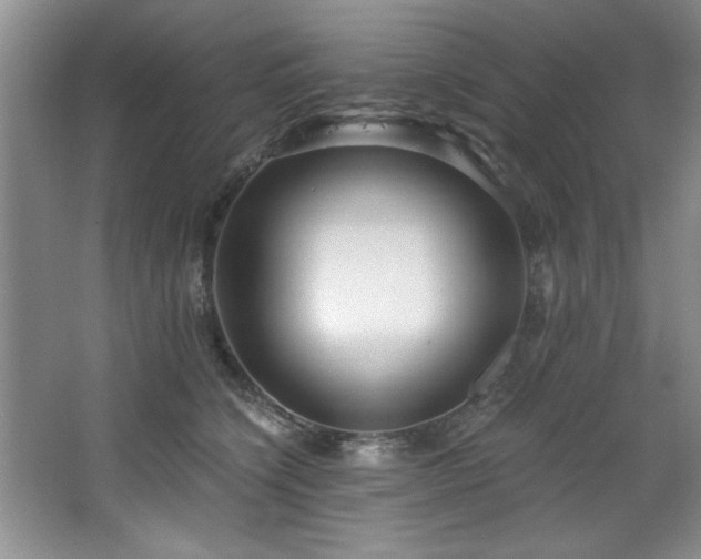 X0000068750564200604281208