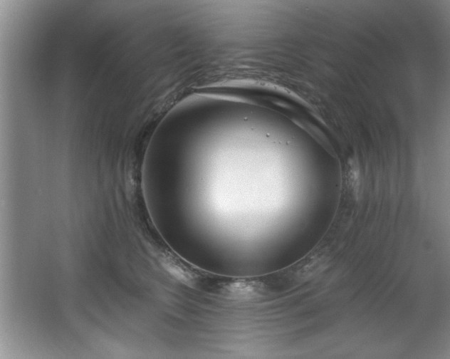 X0000068750566200604281208