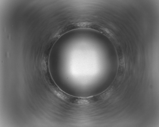 X0000068750572200604281209