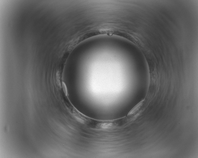 X0000068750575200604281209