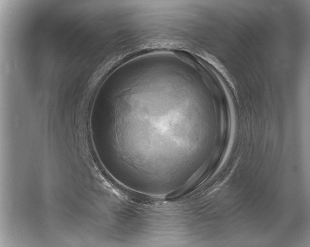 X0000068750577200604281208
