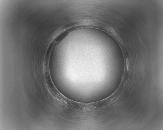 X0000068750579200604281208