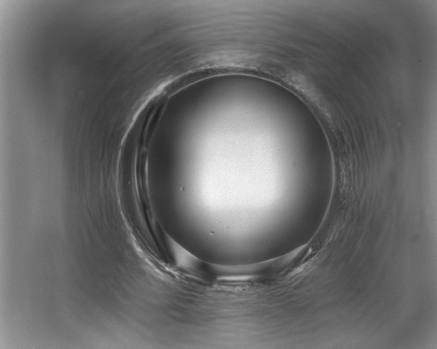 X0000068750580200604281208