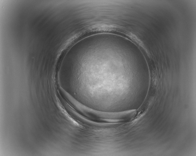 X0000068750581200604281208