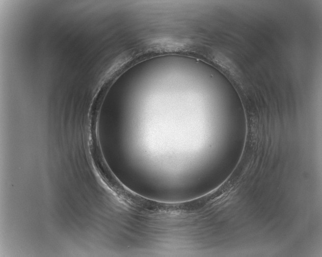 X0000068750582200604281208