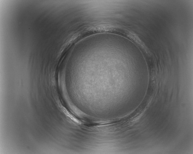 X0000068750585200604281208
