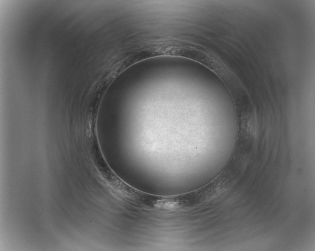 X0000068750602200604281207