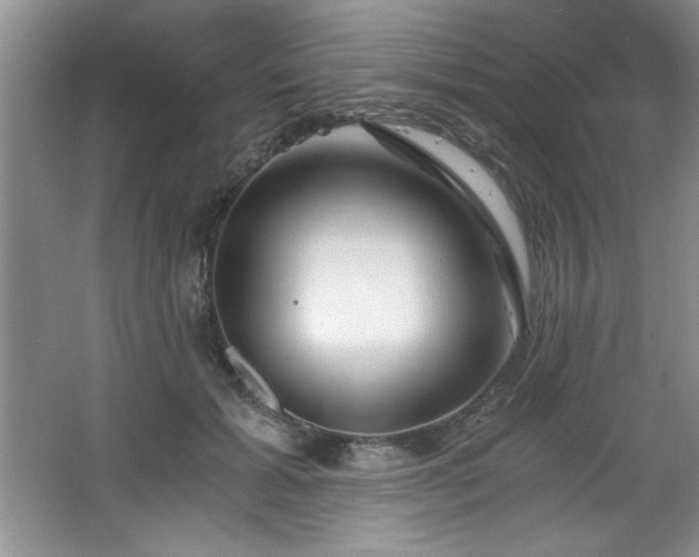 X0000068750605200604281207