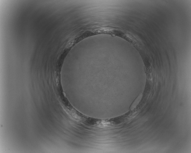 X0000068750607200604281207