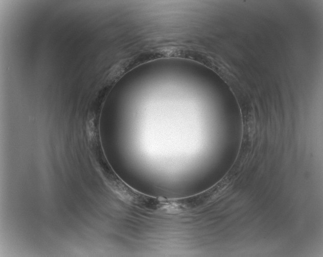 X0000068750611200604281207